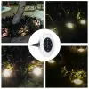 Соларни лампи за градина - Solar Lights (Комплект 4бр) » Murzel.bg Соларни лампи за градина Solar Lights - murzel.bg