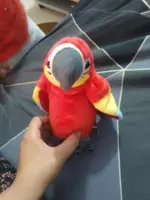 Плюшена играчка говорещ папагал - Macaw » Murzel.bg Плюшена играчка говорещ папагал - Macaw photo review