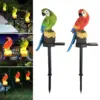 Соларна лампа за градина Папагал - Solar lamp Parrot » Murzel.bg Соларна лампа за градина Папагал - Solar lamp Parrot