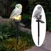 Соларна лампа за градина Сова - Сolar lamp Owl » Murzel.bg Соларна лампа за градина Сова - Сolar lamp Owl