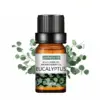 Етерични масла за арома лампи - Еssential oils » Murzel.bg Етерични масла за арома лампи - Еssential oils