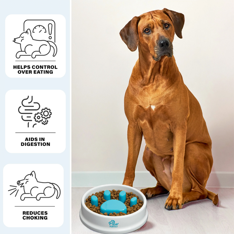 Купа за бавно хранене на домашен любимец - PetFeeder