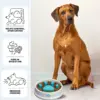 Купа за бавно хранене на домашен любимец - PetFeeder » Murzel.bg Купа за бавно хранене на домашен любимец - PetFeeder