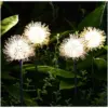LED соларни лампи фойерверки 2бр. - LightsFireworks » Murzel.bg LED соларни лампи фойерверки 2бр. - LightsFireworks