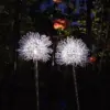 LED соларни лампи фойерверки 2бр. - LightsFireworks » Murzel.bg LED соларни лампи фойерверки 2бр. - LightsFireworks