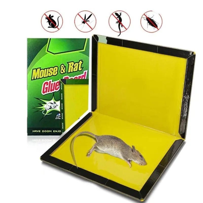 Капан с лепило за мишки и плъхове - MouseTrap » Murzel.bg Капан с лепило за мишки и плъхове - MouseTrap
