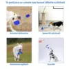 Кучешка играчка с вендуза - DogToy » Murzel.bg Кучешка играчка с вендуза - DogToy