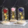 Светеща вечна роза в стъкленица - EternalRose » Murzel.bg Светеща вечна роза в стъкленица - EternalRose