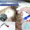 Средство за премахване на мухъл и плесен с дълготраен ефект - MoldWallRemover » Murzel.bg Средство за премахване на мухъл и плесен с дълготраен ефект - MoldWallRemover