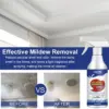 Средство за премахване на мухъл и плесен с дълготраен ефект - MoldWallRemover » Murzel.bg Средство за премахване на мухъл и плесен с дълготраен ефект - MoldWallRemover