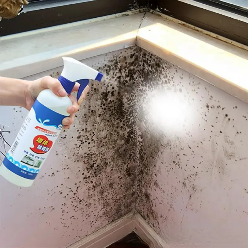 Средство за премахване на мухъл и плесен с дълготраен ефект - MoldWallRemover » Murzel.bg Средство за премахване на мухъл и плесен с дълготраен ефект - MoldWallRemover