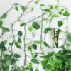 Клипс щипки за хващане и аранжиране на цветя 50бр. - FlowerClip » Murzel.bg Клипс щипки за хващане и аранжиране на цветя 50бр.