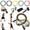 Тренировъчни ластици за спорт и фитнес, Комплект от 11 части - TrainingЕlastics » Murzel.bg Тренировъчни ластици за спорт и фитнес, Комплект от 11 части - TrainingЕlastics