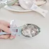 Уред с капак за почистване на люспи от риба - FishScale » Murzel.bg Уред с капак за почистване на люспи от риба - FishScale