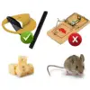 Интелигентен капан за улавяне на плъхове и мишки - IntelligentMousetrap » Murzel.bg Интелигентен капан за улавяне на плъхове и мишки - Mousetrap