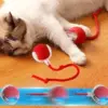 Интерактивна играчка за котки - CatPlay » Murzel.bg Интерактивна играчка за котки - CatPlay