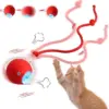 Интерактивна играчка за котки - CatPlay » Murzel.bg Интерактивна играчка за котки - CatPlay