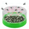 Електрическа мухоловка с USB - Flytrap » Murzel.bg Електрическа мухоловка с USB - Flytrap